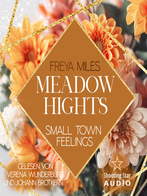 cover image of Meadow Hights: Small Town Feelings